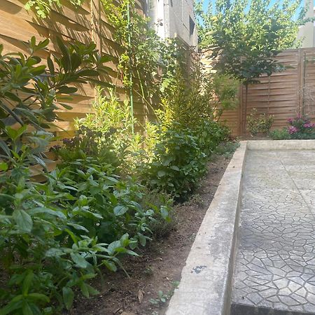 B1 Luxury Studio Αλεξανδρούπολη Εξωτερικό φωτογραφία
